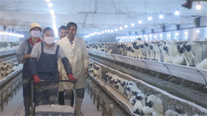 泰州姜堰 '同心共富'赋能，村民搭上'幸福专列'家禽销售