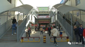 龙井市场家禽销售区升级改造，打造安全卫生新体验